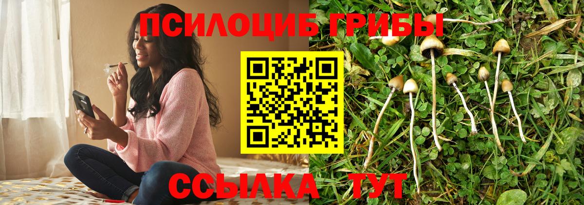 Галлюциногенные грибы мухоморы  Вход с VPN  Полысаево 